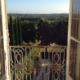 Orangerie Duras: view from windows